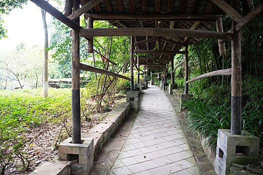rong bach kim 2 nhay